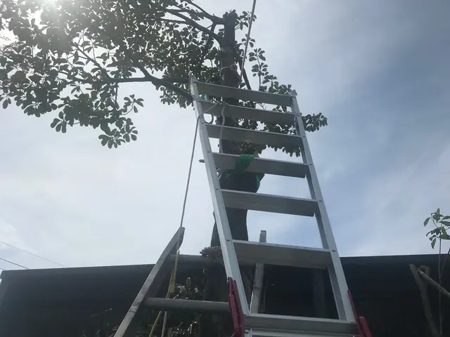 (アワード2024剪定部門入選！)お客様のご要望を最優先！地域密着で安心☆サービスの画像