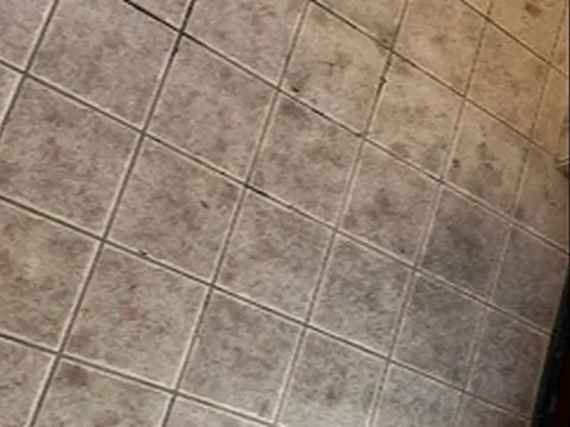 玄関タイルクリーニングサービスの画像