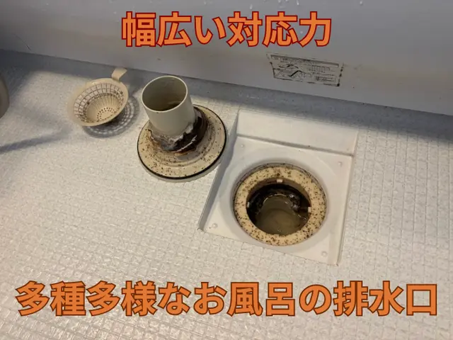 【金賞店】建築プロが行う根本解決！侵入口を探す！即日翌日希望はお問合せから！サービスの画像