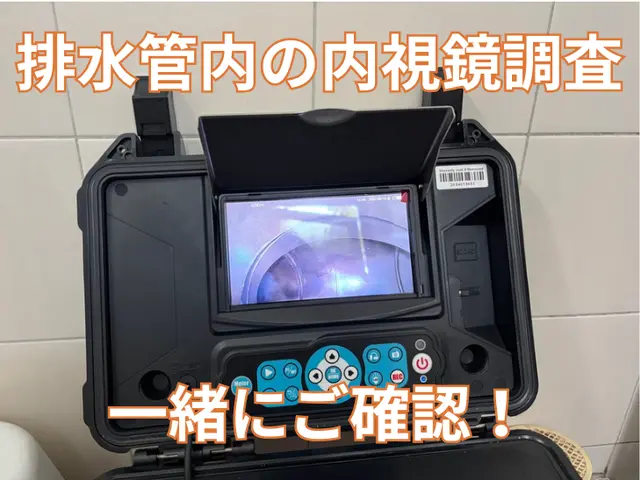 【金賞店】建築プロが行う根本解決！侵入口を探す！即日翌日希望はお問合せから！サービスの画像