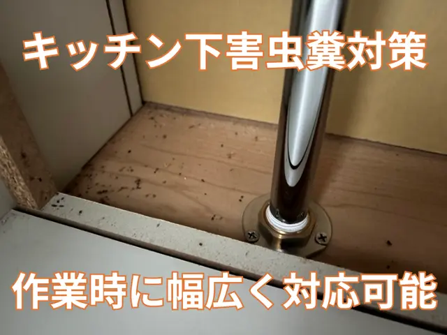 【金賞店】建築プロが行う根本解決！侵入口を探す！即日翌日希望はお問合せから！サービスの画像