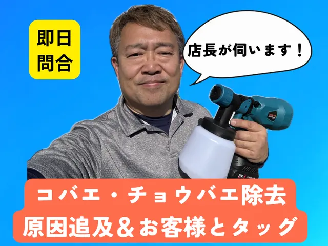 【金賞店】建築プロが行う根本解決！侵入口を探す！即日翌日希望はお問合せから！サービスの画像