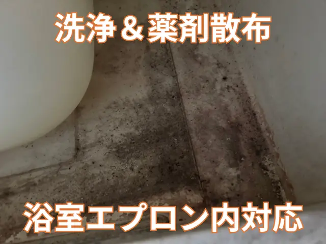 【金賞店】建築プロが行う根本解決！侵入口を探す！即日翌日希望はお問合せから！サービスの画像