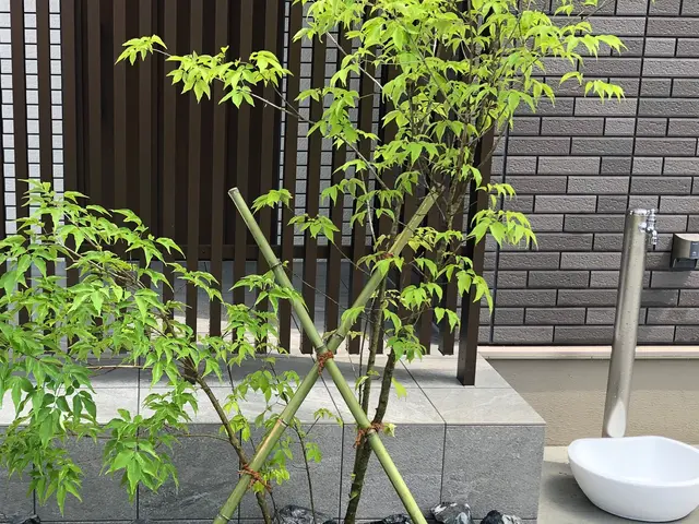 【栗東市発】年中無休◎損害保険加入済み！作業にご不満の場合は無料で追加対応！サービスの画像