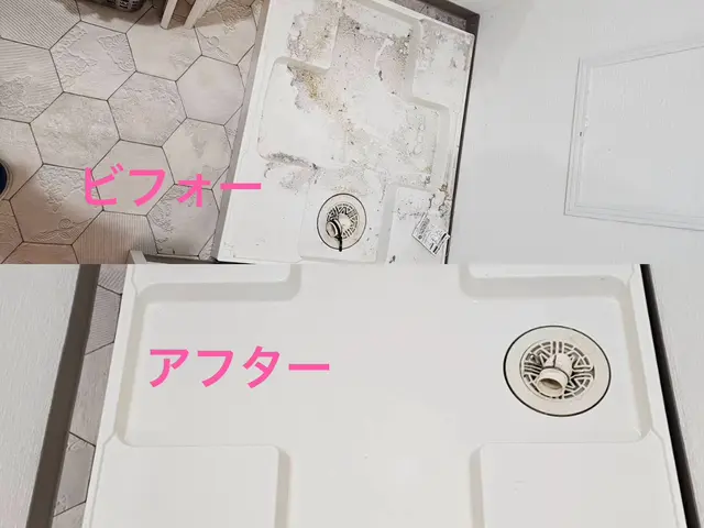 ■必ず女性と２人作業■在室入居中のハウスクリーニング※PayPay支払い可能サービスの画像