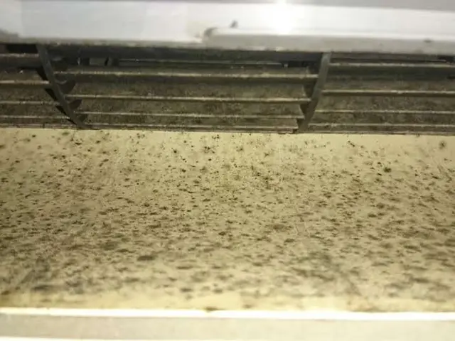 【大好評お早めに】安心丁寧除菌洗浄　‘22アワード受賞店サービスの画像