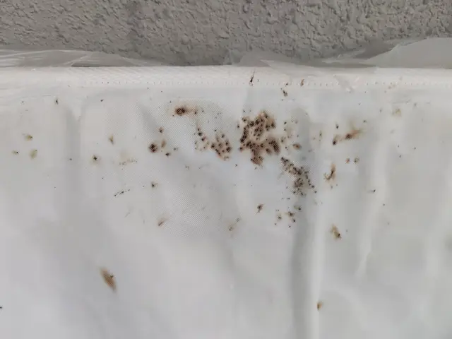 ◆年中無休で駆けつけます◆営業時間外のご予約もご相談可能です！サービスの画像