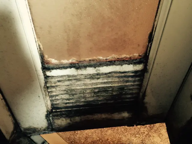 1月限定料金中々普段手が届かない場所などクリーニングお任せください。サービスの画像