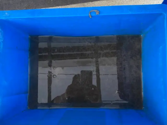 冬場の内に★エアコンクリーニング★快適な空気で、ウイルス対策除菌★抗菌コート★サービスの画像