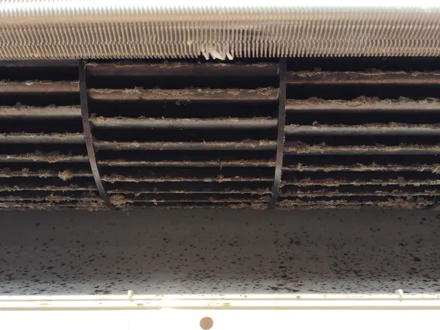 冬場の内に★エアコンクリーニング★快適な空気で、ウイルス対策除菌★抗菌コート★サービスの画像