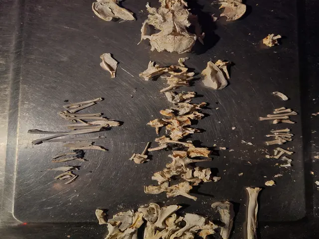 【横浜市発】心をこめた、最後のセレモニーを◆女性スタッフの訪問も可能です◎サービスの画像