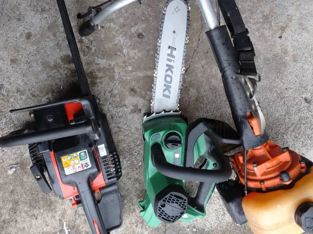 【各種クレジット Pay対応】伐採・枝払い！迅速に無料見積り！【鳥の巣対策】サービスの画像