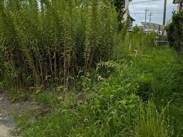 作業外注一切なし◎損害保険に加入済み◎何でも当店へお任せください！サービスの画像