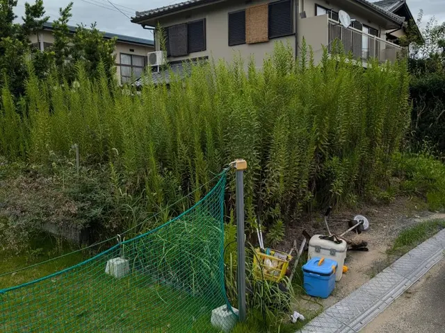 作業外注一切なし◎損害保険に加入済み◎何でも当店へお任せください！サービスの画像