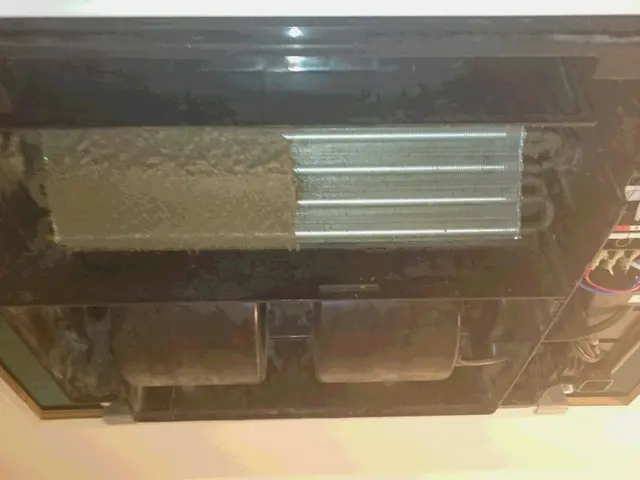 業歴10年以上!経験豊富なスタッフがお伺いします。午前～のみ受付可能サービスの画像