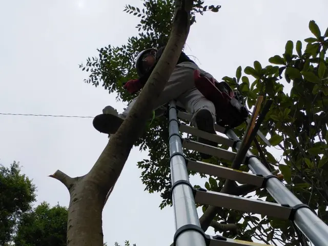 ◎庭園管理士が岩国市より各地にお伺いします。◎対応地域外でもご要望お聞きします。サービスの画像