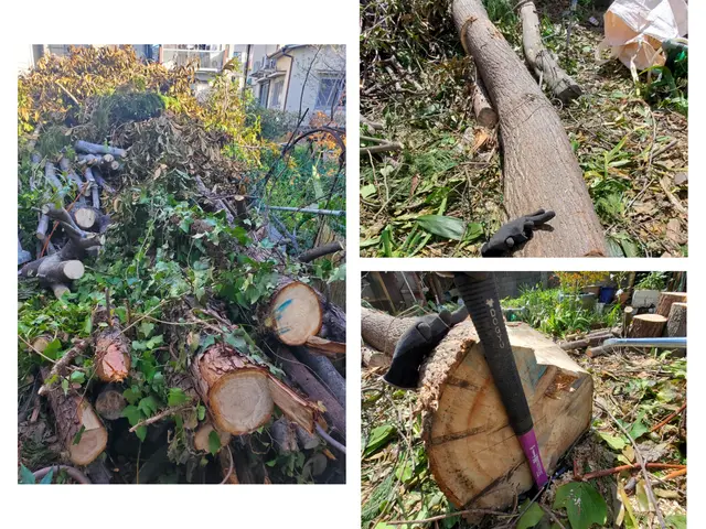 ◎庭園管理士が岩国市より各地にお伺いします。◎対応地域外でもご要望お聞きします。サービスの画像