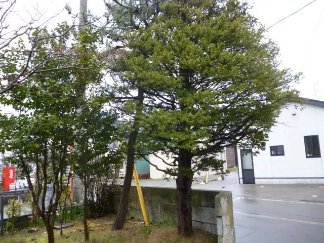 ◎庭園管理士が岩国市より各地にお伺いします。◎対応地域外でもご要望お聞きします。サービスの画像