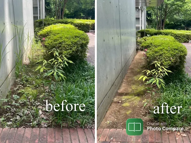 ◆◇新規出店価格！◇◆職人肌の愚直な作業で仕上げ美しさに自信あり！◎サービスの画像