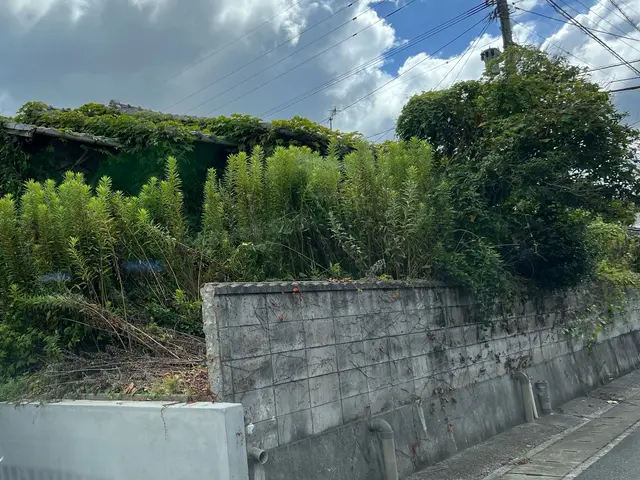 親切丁寧な草刈りで、庭を美しく快適に！リピーター続出の実績ありサービスの画像