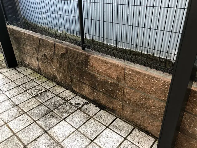 予約受付開始☆☆☆エコ洗剤使用☆サービスの画像