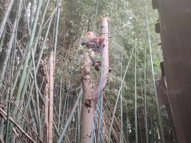 【業歴16年の実績】一級造園技能士◎自社スタッフが迅速丁寧に対応いたしますサービスの画像