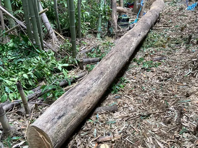 【業歴16年の実績】一級造園技能士◎自社スタッフが迅速丁寧に対応いたしますサービスの画像