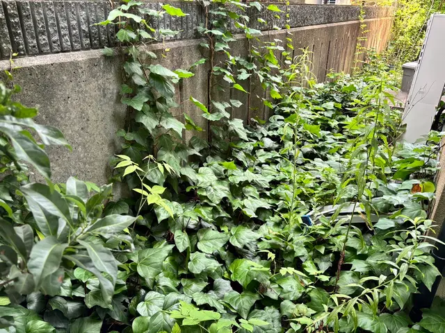 お客様から信頼いただけるよう、一つ一つの作業を迅速丁寧に対応します！サービスの画像