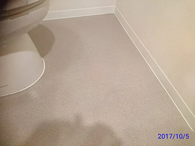 実績1万件《女性スタッフ派遣可》損保加入済◆カビを徹底除去◎追加料金一切なしサービスの画像