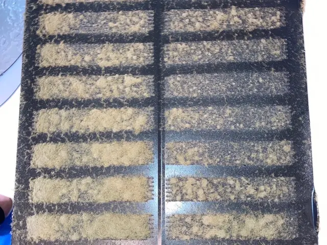 11月のサービス【五徳も一緒に洗浄】◆80分◆丁寧に油除去◆女性の訪問サービスの画像