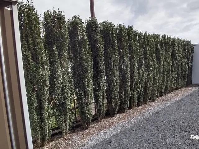 15年以上の実績を持つ店長が必ず訪問！お客様に寄り添う安心の作業サービスの画像