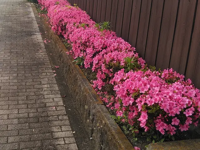 15年以上の実績を持つ店長が必ず訪問！お客様に寄り添う安心の作業サービスの画像