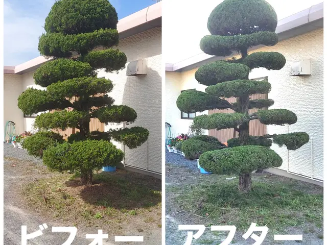 ＜大手の業務経験も豊富◎＞自信の完全自社対応！アフターフォローもバッチリ！サービスの画像