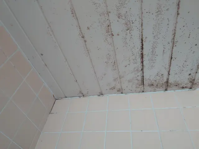 大手での業務経験も豊富です！営業時間外のご予約も相談・対応がOK◎サービスの画像