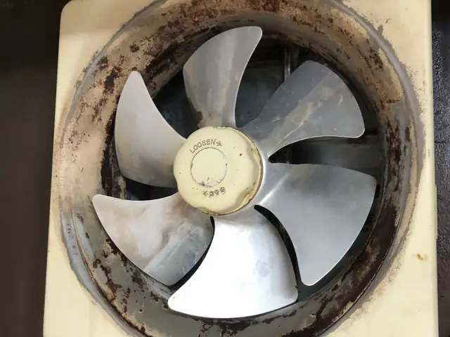 女性スタッフがお伺い！わんちゃんねこちゃんいらっしゃるご家庭大歓迎☆サービスの画像