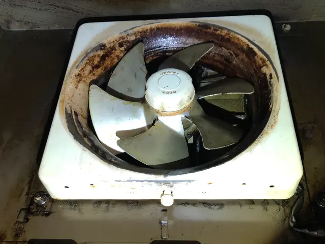 女性スタッフがお伺い！わんちゃんねこちゃんいらっしゃるご家庭大歓迎☆サービスの画像