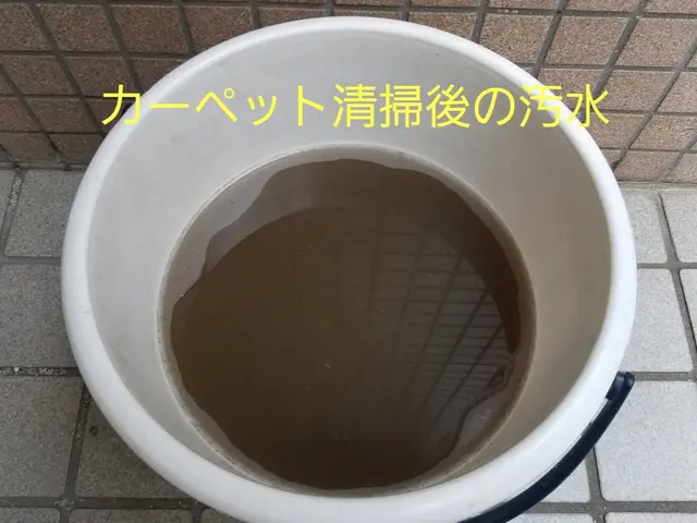 【カーペット洗浄】自宅や店舗、オフィスやクリニック等の汚れが綺麗になります！サービスの画像