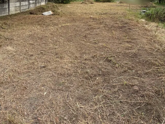 庭、所有地、管理地などの草刈り！サービスの画像