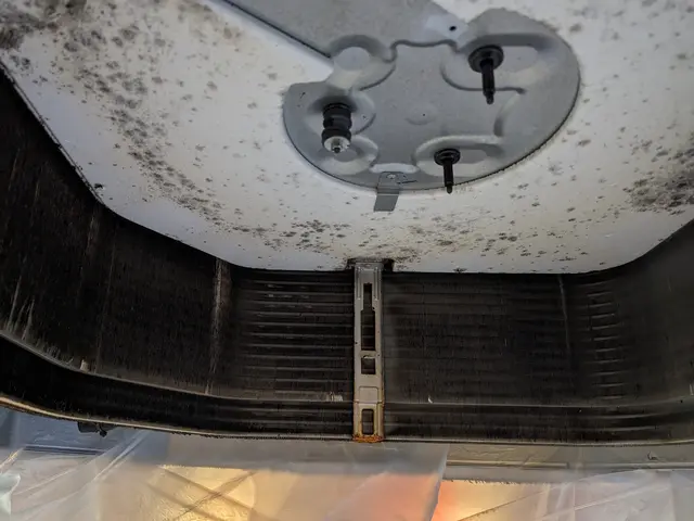 黒カビを徹底洗浄！お子様やペットにも安心の洗剤使用！損害保険加入済サービスの画像