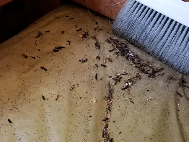 ＜土日祝も対応◎＞損害保険加入済み！ヒアリングを大切にしております！サービスの画像