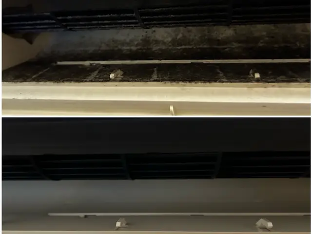 ☆オーガニック洗剤使用☆でお子様やペットに安心安全！☆消臭コートサービス中☆サービスの画像