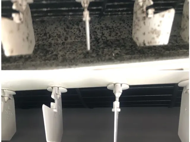 ☆オーガニック洗剤使用☆でお子様やペットに安心安全！☆消臭コートサービス中☆サービスの画像