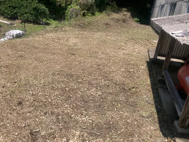 草刈りキング現る！サービスの画像