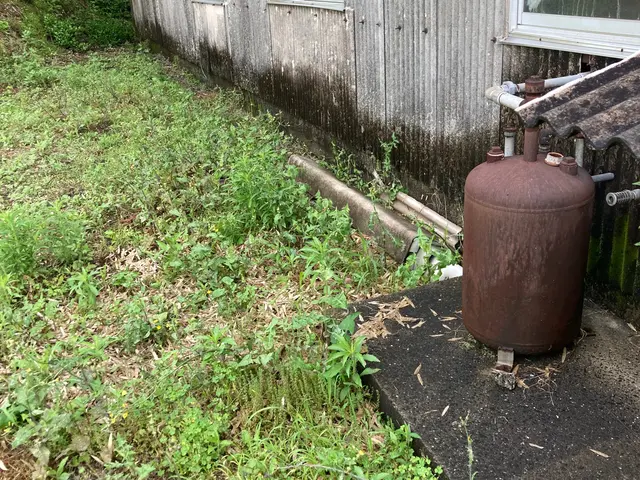 草刈りキング現る！サービスの画像