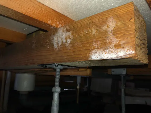 【総合ランキング上位店舗】❇損害保険✴大手出身❇即日対応✴即レス❇口コミ高評価サービスの画像