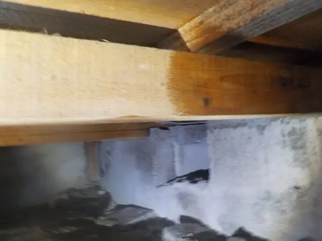 【総合ランキング上位店舗】❇損害保険✴大手出身❇即日対応✴即レス❇口コミ高評価サービスの画像