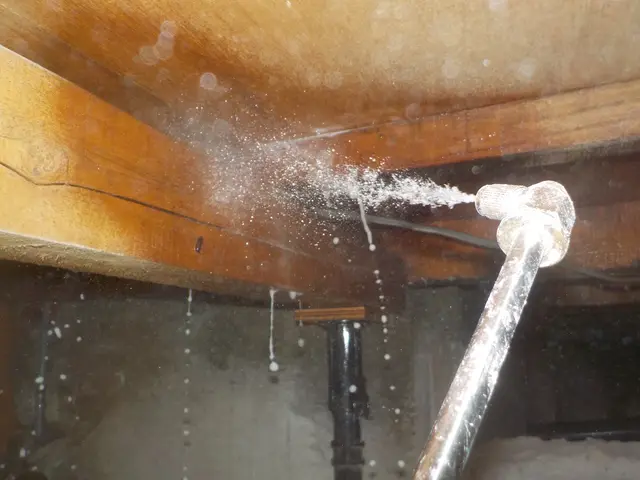 【総合ランキング上位店舗】❇口コミ高評価✴5年保証❇即日対応✴即レス❇損害保険サービスの画像