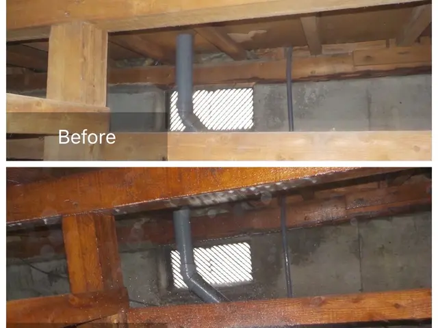 【総合ランキング上位店舗】❇損害保険✴大手出身❇即日対応✴即レス❇口コミ高評価サービスの画像