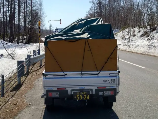 小規模 軽トラック引っ越しサービスの画像