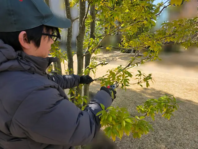 春害虫予防｜毛虫/蜂/蚊｜戸建てやオーナーさんも歓迎【追加料金なし】サービスの画像